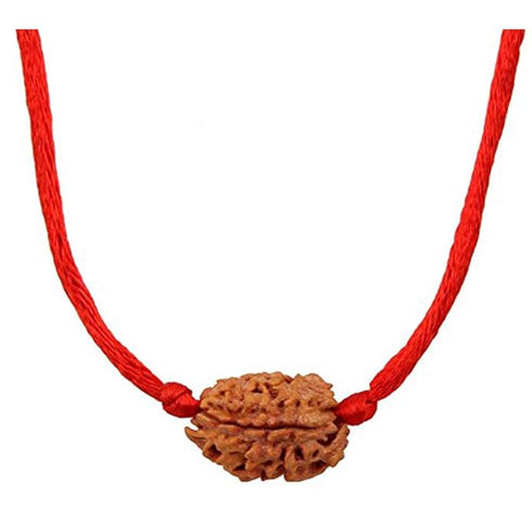 Natural Certified Nepali Rudraksha (Pack of 1)